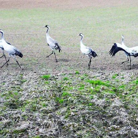 La Playa - Wygodne Blisko Plazy I Jezioraka Siemiany
